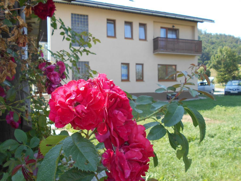 Apartments T&M Mrkopalj Extérieur photo